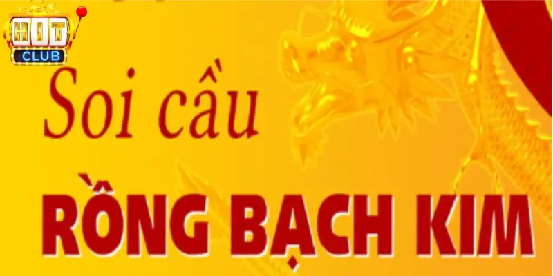 Vì sao soi cầu rồng bạch kim được ưa chuộng đến vậy